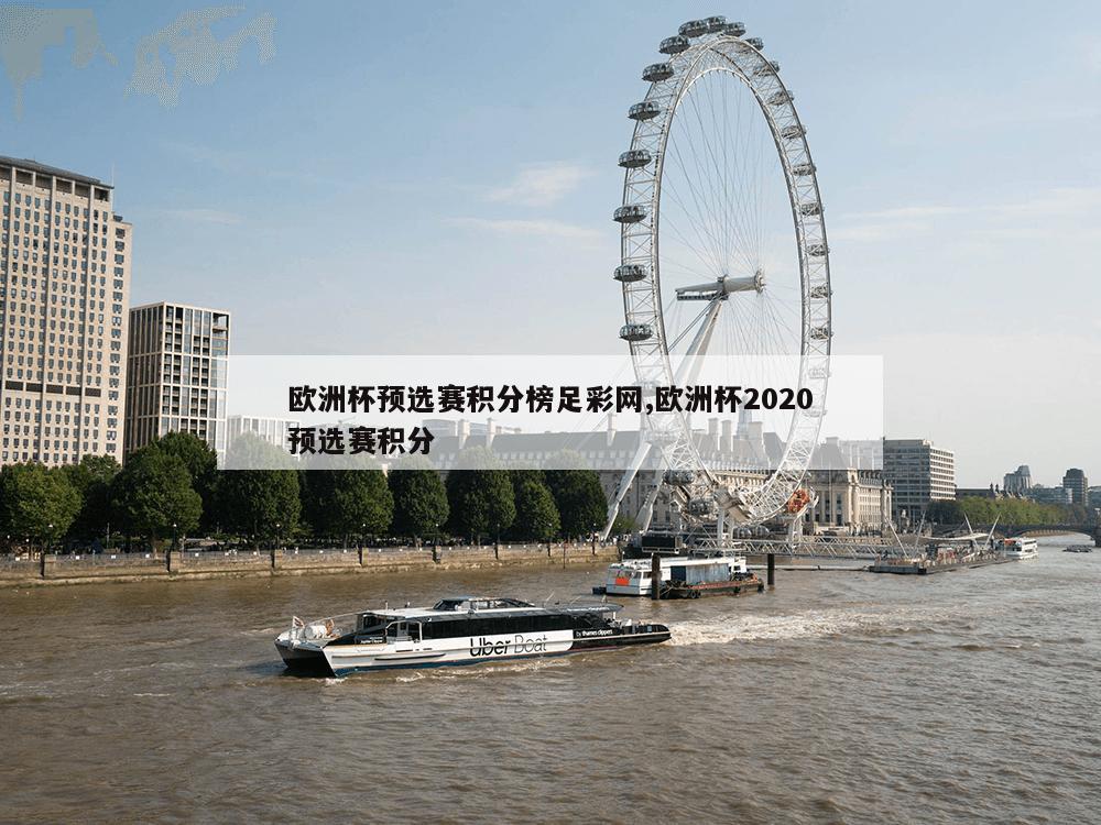 欧洲杯预选赛积分榜足彩网,欧洲杯2020预选赛积分