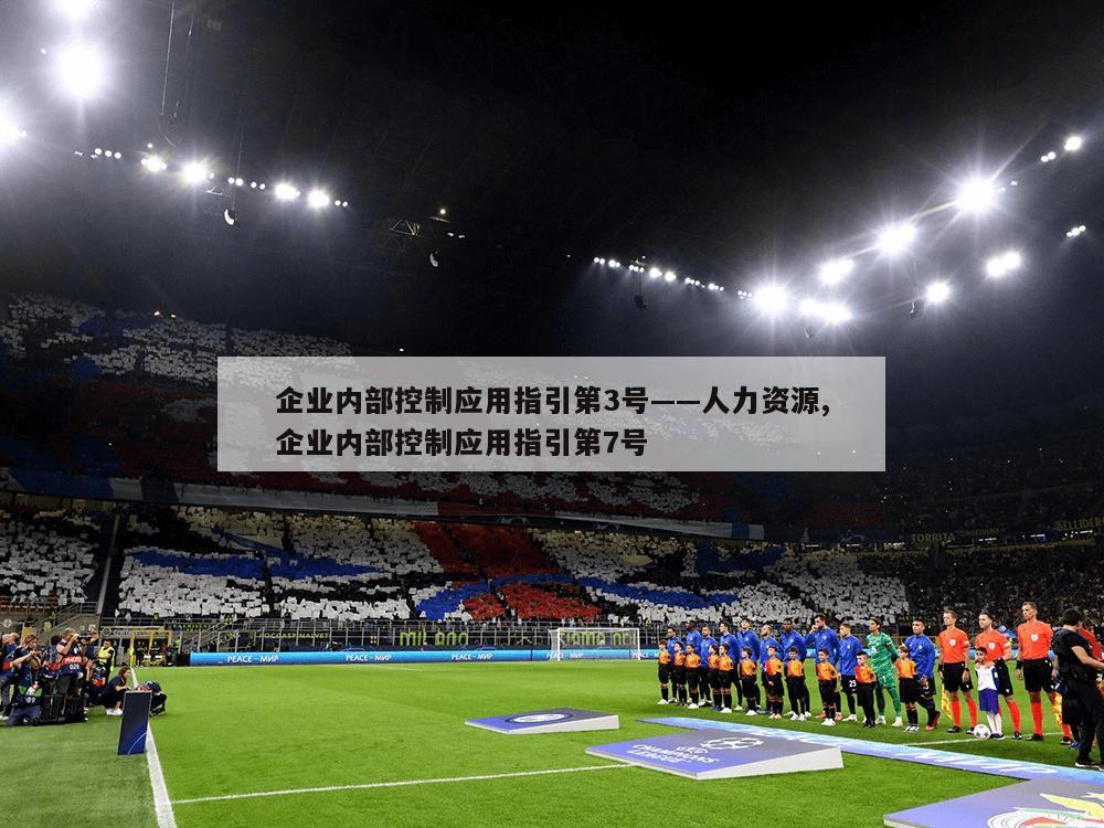 企业内部控制应用指引第3号——人力资源,企业内部控制应用指引第7号