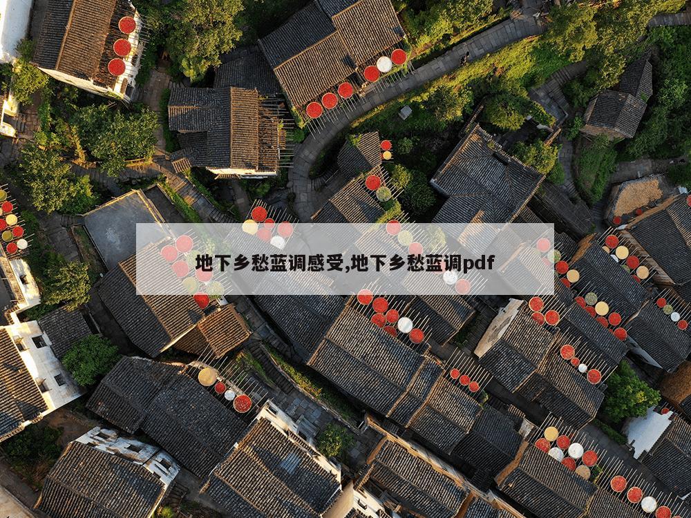 地下乡愁蓝调感受,地下乡愁蓝调pdf