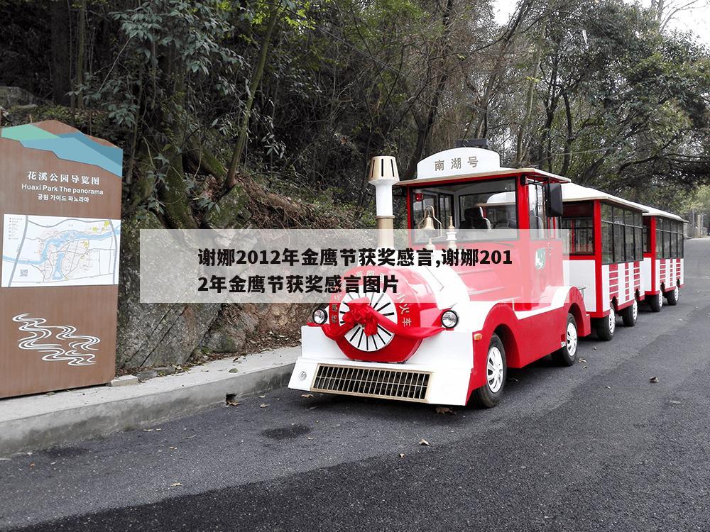 谢娜2012年金鹰节获奖感言,谢娜2012年金鹰节获奖感言图片