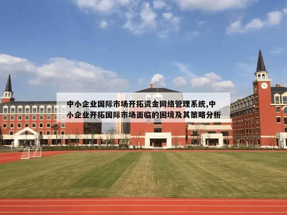 中小企业国际市场开拓资金网络管理系统,中小企业开拓国际市场面临的困境及其策略分析