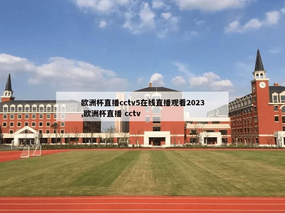 欧洲杯直播cctv5在线直播观看2023,欧洲杯直播 cctv