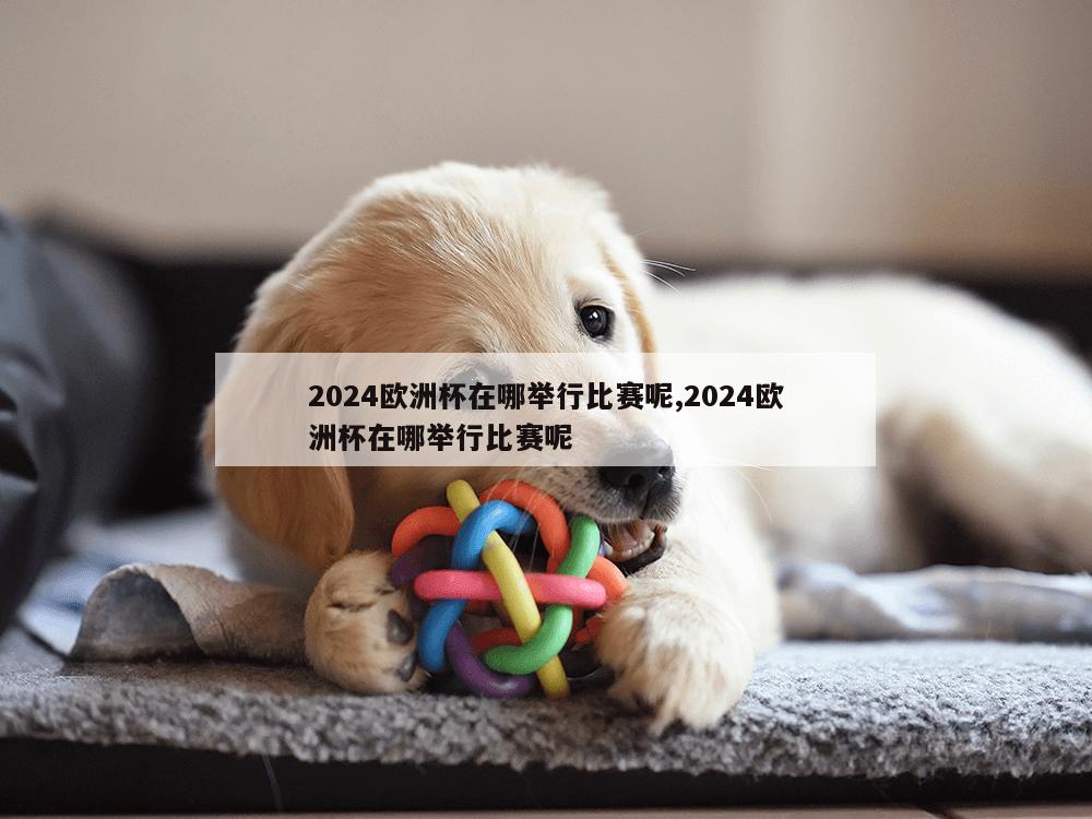 2024欧洲杯在哪举行比赛呢,2024欧洲杯在哪举行比赛呢