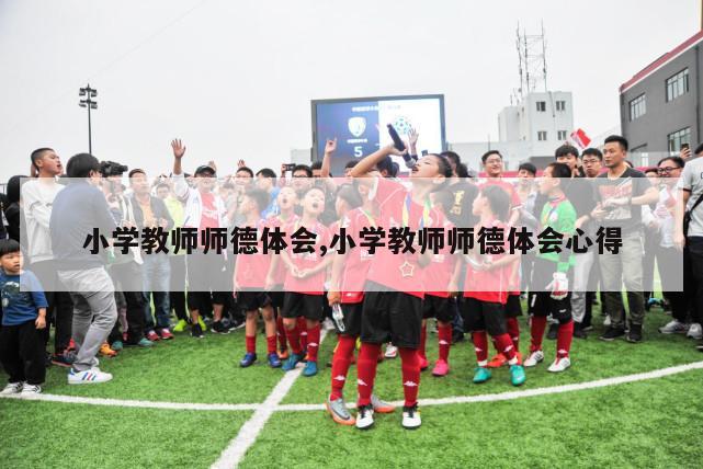 小学教师师德体会,小学教师师德体会心得