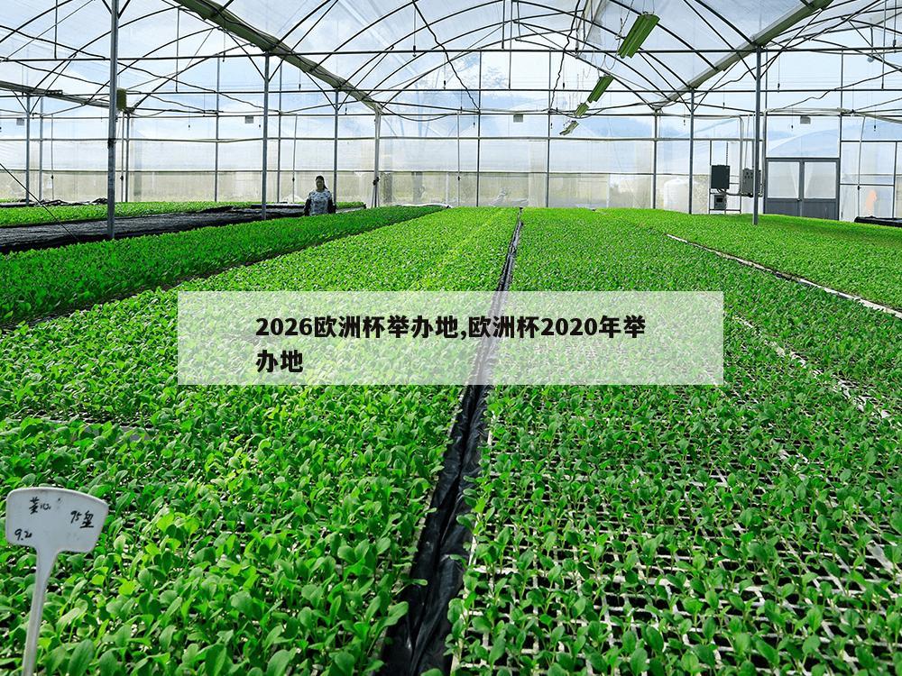 2026欧洲杯举办地,欧洲杯2020年举办地