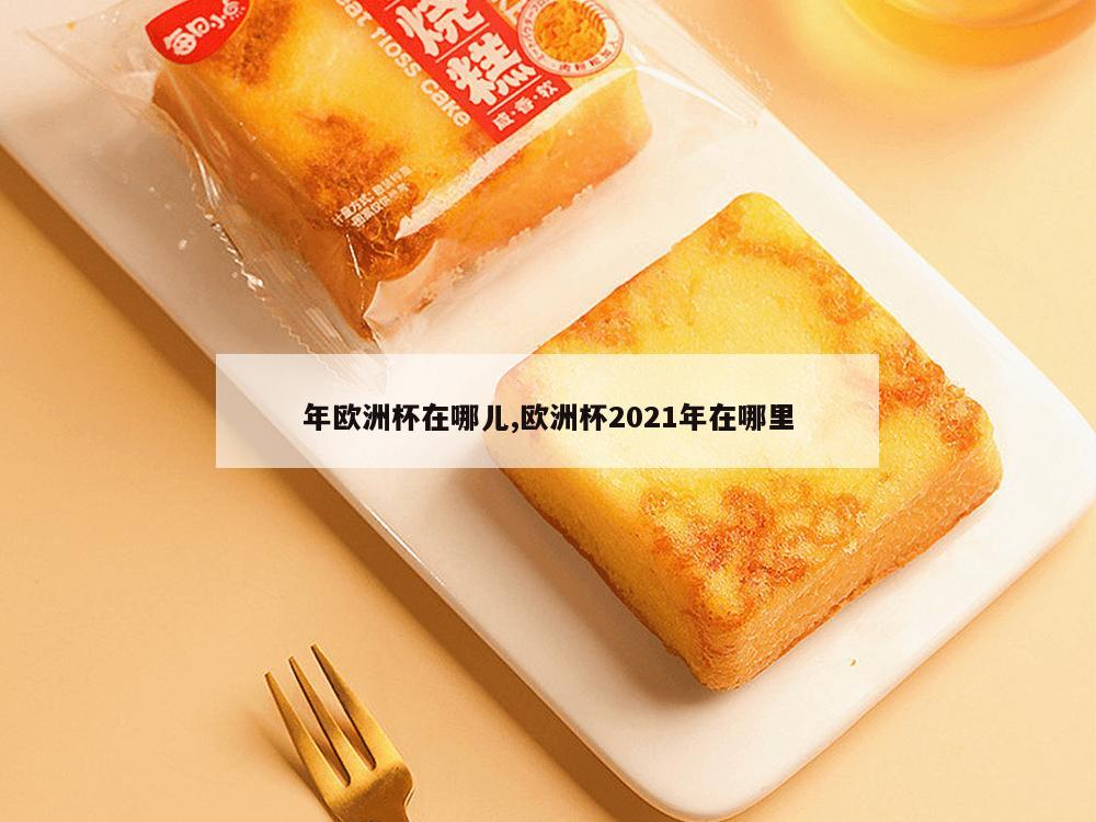 年欧洲杯在哪儿,欧洲杯2021年在哪里