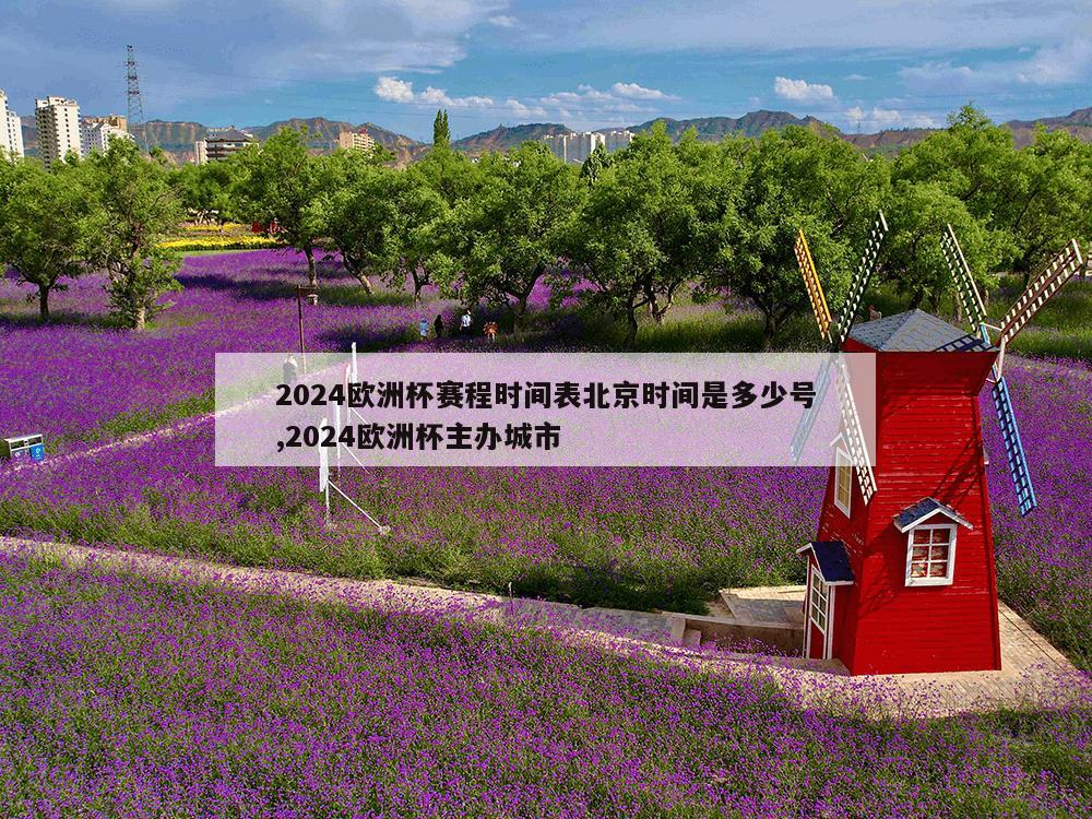 2024欧洲杯赛程时间表北京时间是多少号,2024欧洲杯主办城市