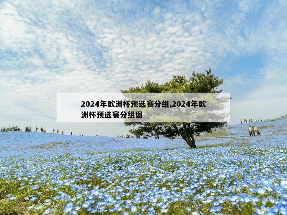 2024年欧洲杯预选赛分组,2024年欧洲杯预选赛分组图